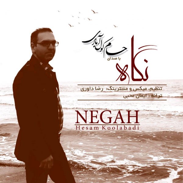 Hesam Koolabadi - 'Negah'