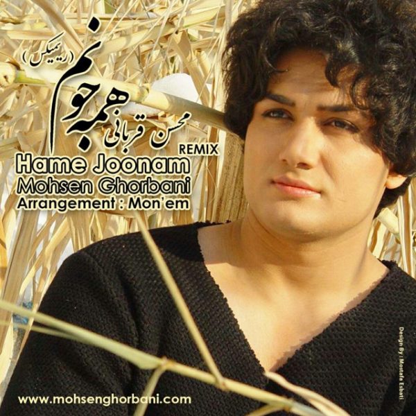 Mohsen Ghorbani - 'Hame Joonam (Remix)'