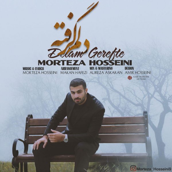 Morteza Hosseini - 'Delam Gerefteh'