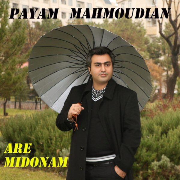 Payam Mahmoudian - Are Midonam
