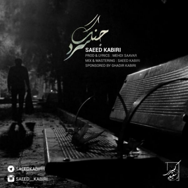 Saeed Kabiri - 'Jange Sard'