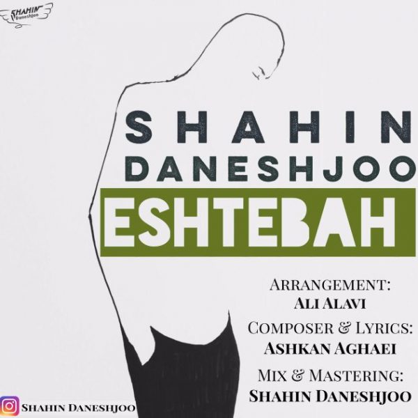 Shahin Daneshjoo - 'Eshtebah'