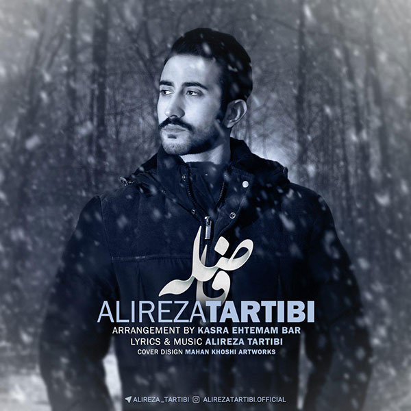 Alireza Tartibi - 'Fasele'