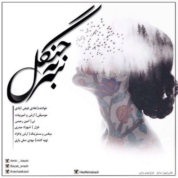 Hadi Feizabadi - 'Sar Be Janagal'