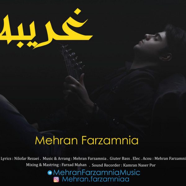 Mehran Farzamnia - 'Gharibeh'