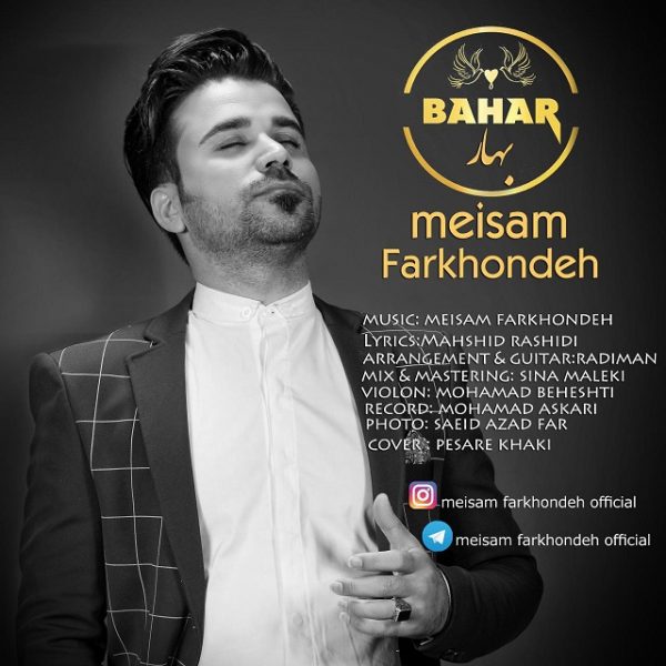 Meisam Farkhondeh - 'Bahar'