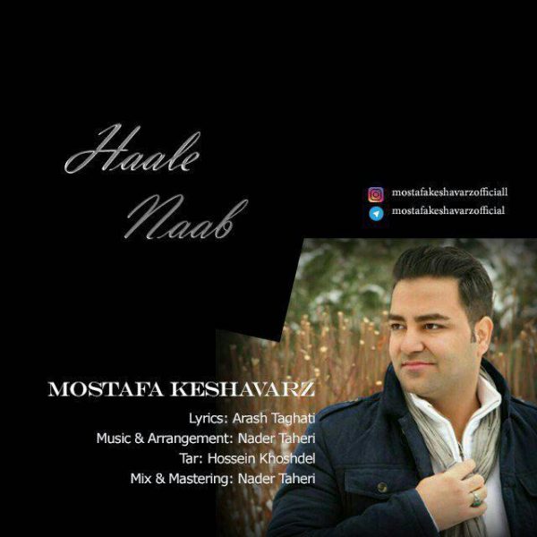 Mostafa Keshavarz - 'Haale Naab'