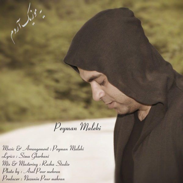 Peyman Maleki - Ye Music Aroom