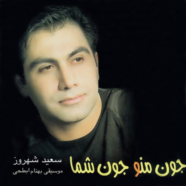Saeid Shahrouz - Robaei