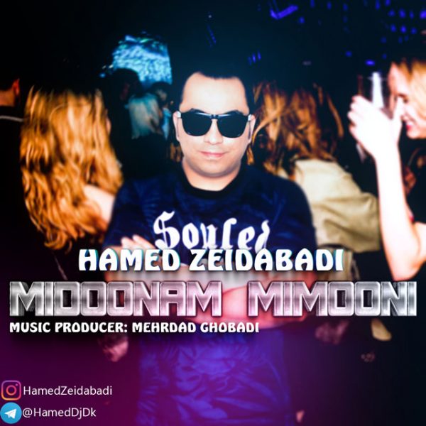 Hamed Zeidabadi - Midoonam Mimooni