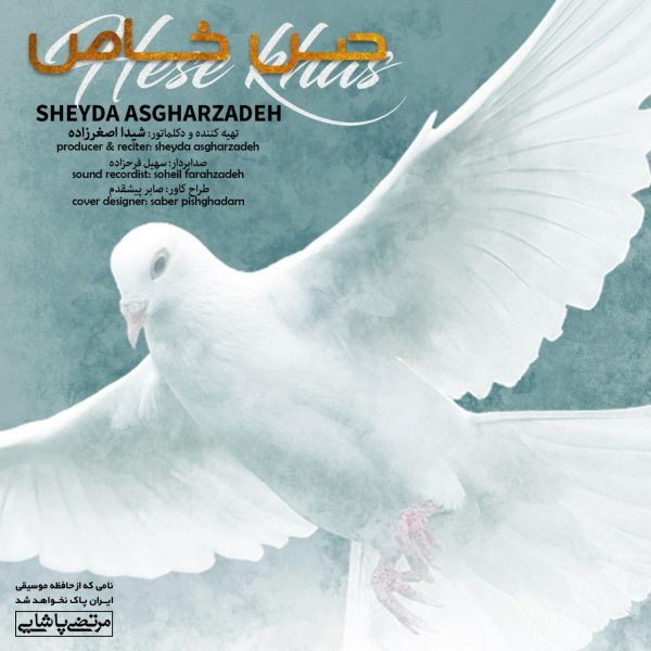 Sheyda Asgharzadeh - Hese Khas