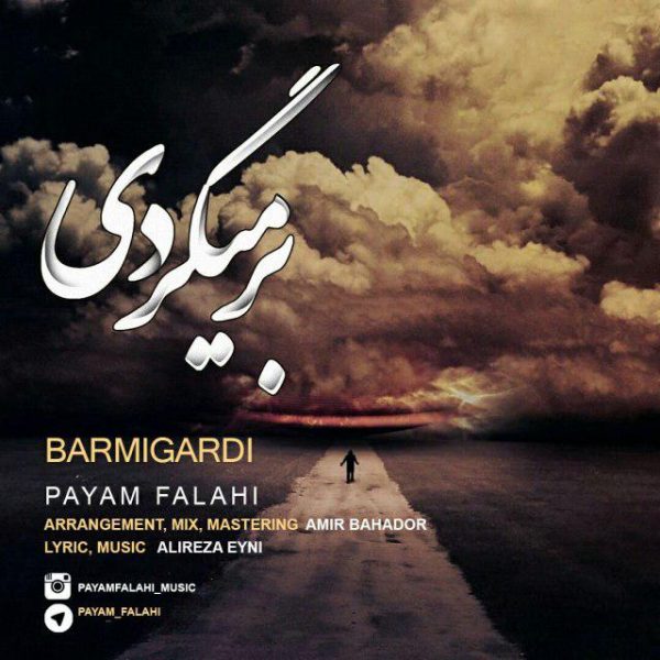 Payam Falahi - Barmigardi