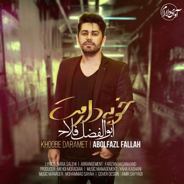 Abolfazl Fallah - 'Khoobe Daramet'