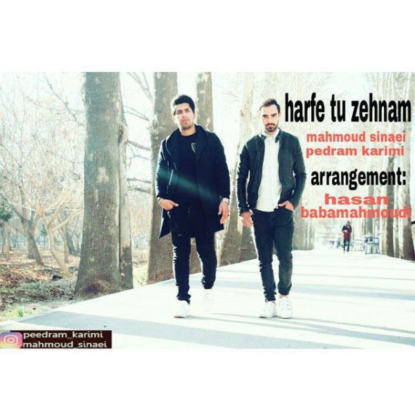 MahMoud Sinaei & Pedram Karimi - 'Harfe Tu Zehnam'