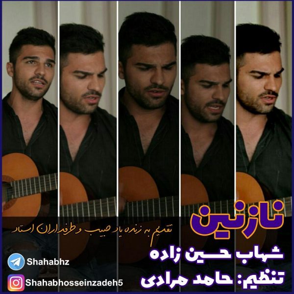 Shahab Hossein Zadeh - 'Nazanin'