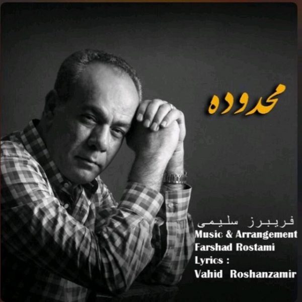 Fariborz Salimi - 'Mahdoode'