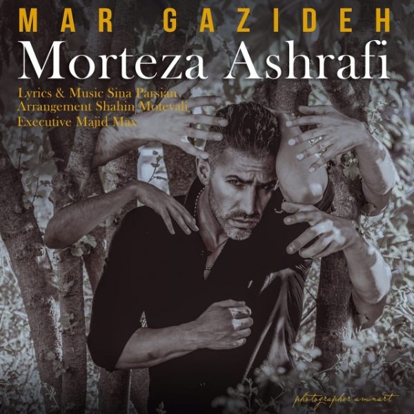 Morteza Ashrafi - 'Mar Gazideh'