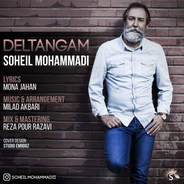 Soheil Mohammadi - 'Deltangam'