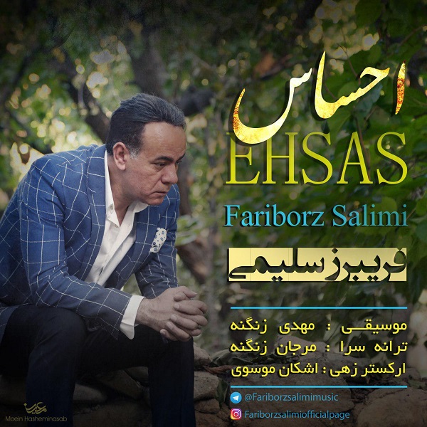 Fariborz Salimi - Ehsas