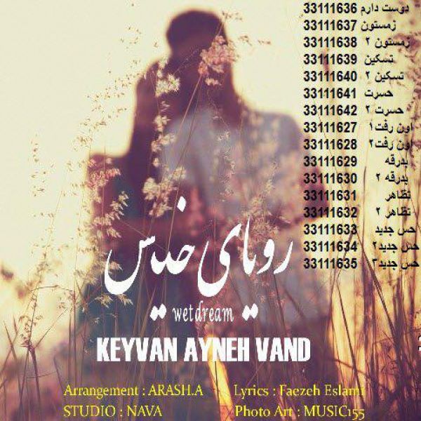 Keyvan Ayneh Vand - Royaye Khis