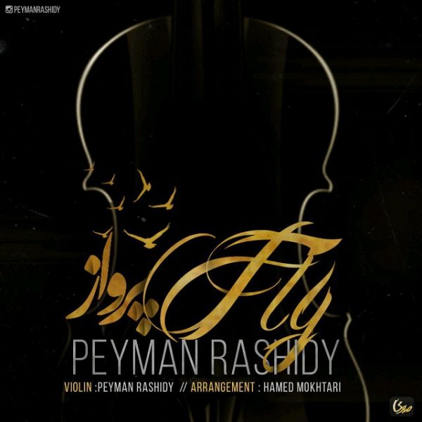 Peyman Rashidy - Parvaz