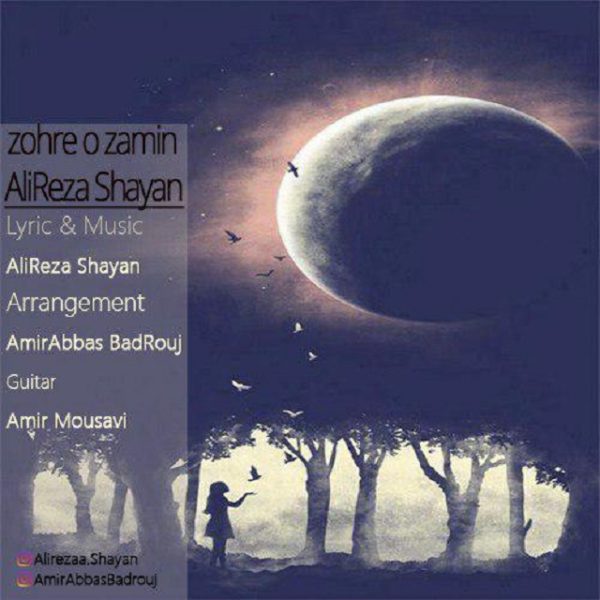 Alireza Shayan - 'Zohre O Zamin'