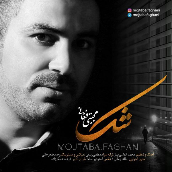 Mojtaba Faghani - Shak