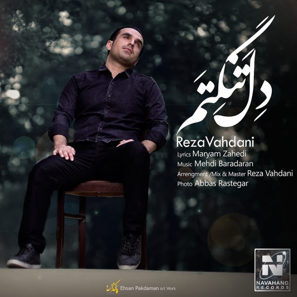 Reza Vahdani - 'Deltangetam'