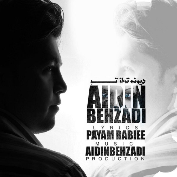 Aidin Behzadi - 'Divoonetar Az To'