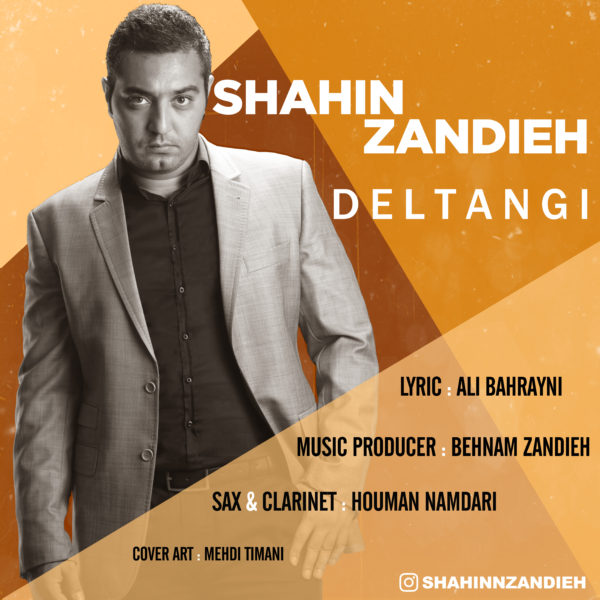 Shahin Zandieh - Deltangi