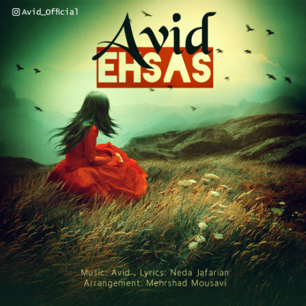 Avid - Ehsas