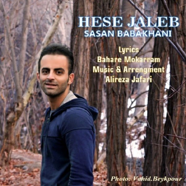 Sasan Babakhani - Hese Jaleb