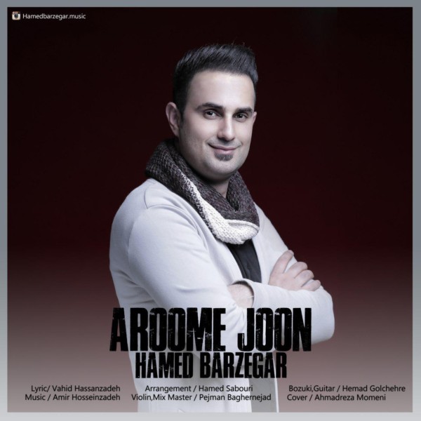 Hamed Barzegar - Aroome Joon