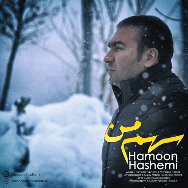 Hamoon Hashemi - Sahme Man