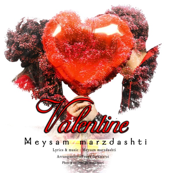 Meysam Marzdashti - Valentine