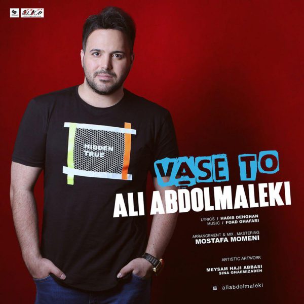 Ali Abdolmaleki - 'Vase To'
