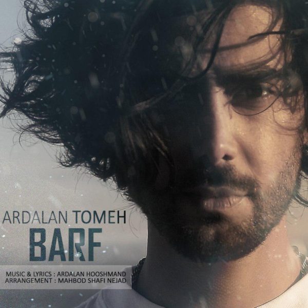 Ardalan Tomeh - 'Barf'