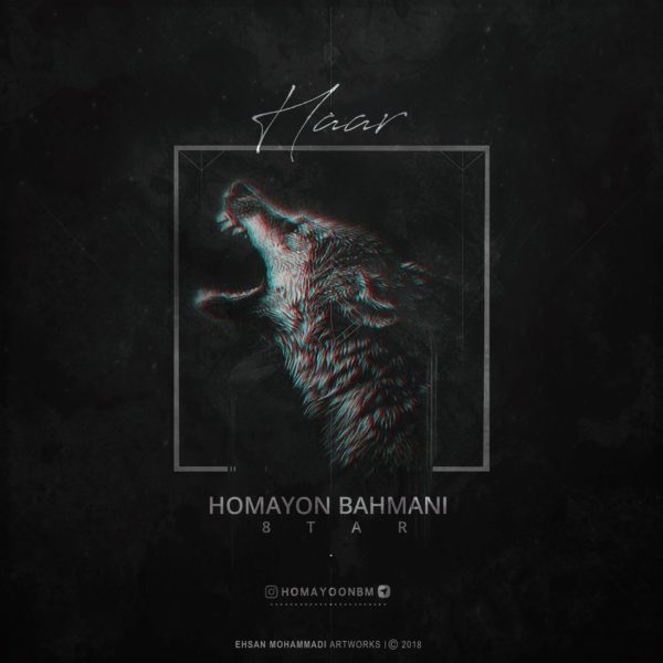Homayon Bahmani - 'Haar'