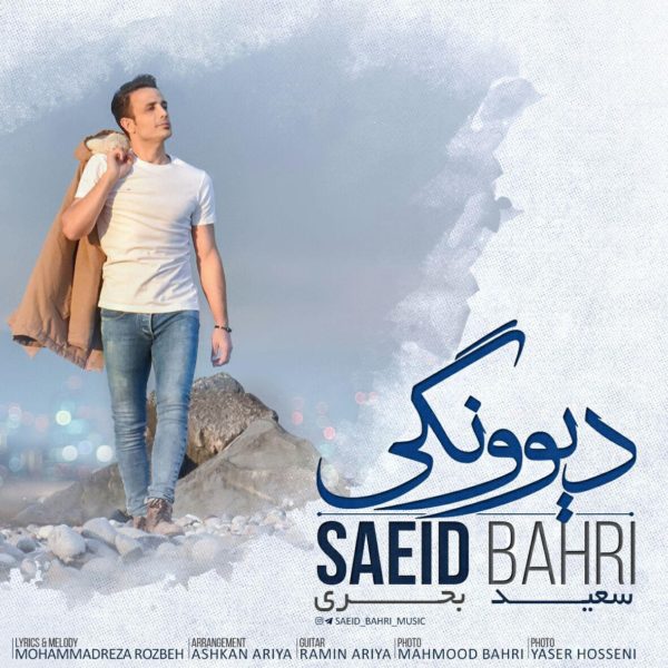 Saeid Bahri - 'Divoonegi'