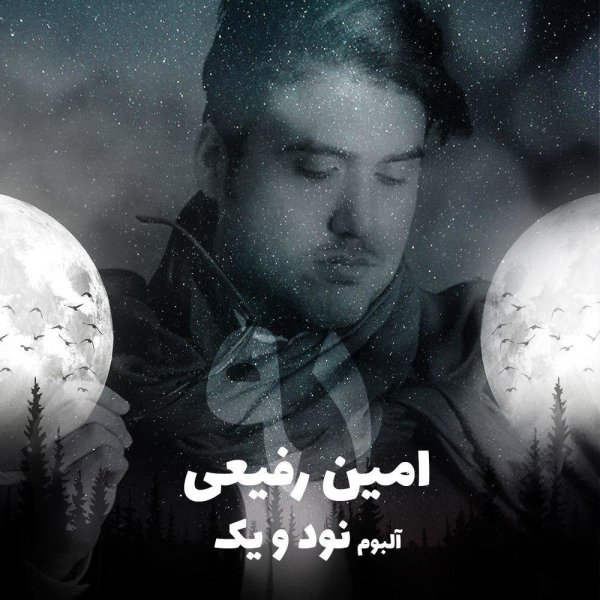 Amin Rafiee - Naresidan