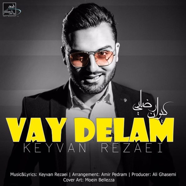 Keyvan Rezaei  - 'Vay Delam'