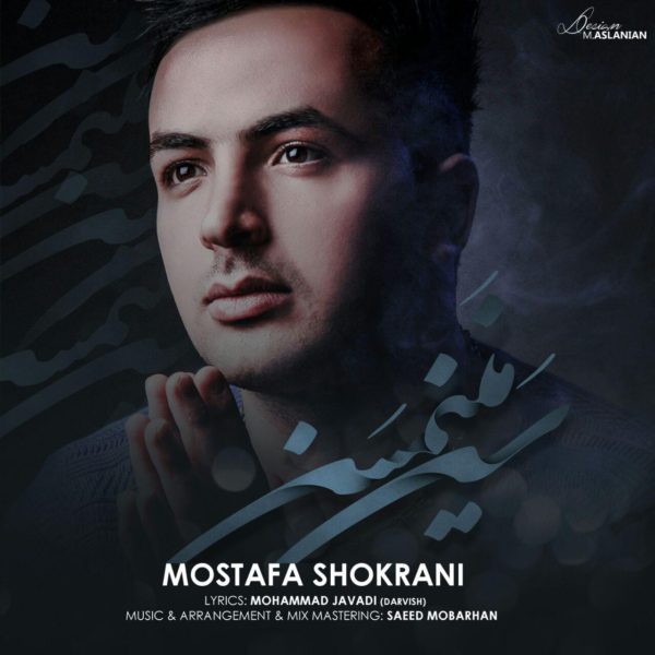 Mostafa Shokrani - San Manimsan