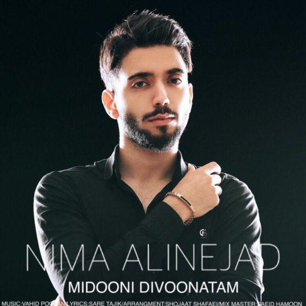 Nima Alinejad - Midooni Divoonatam