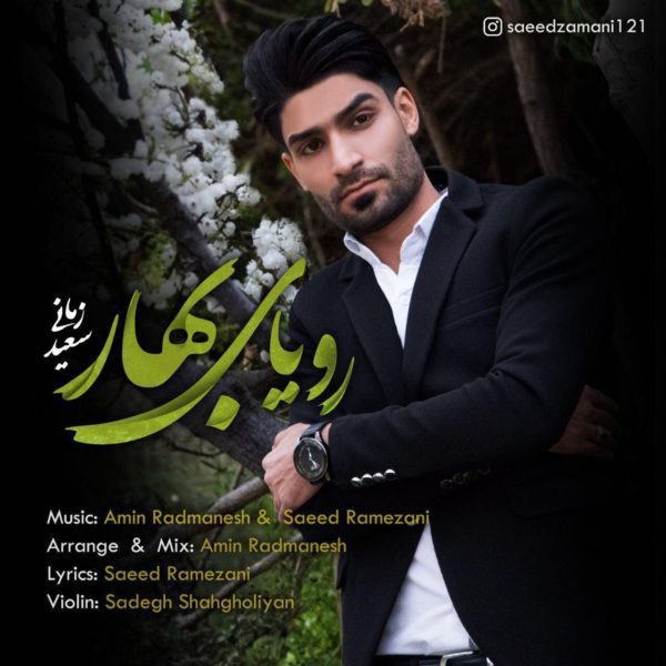 Saeed Zamani - Royaye Bahar