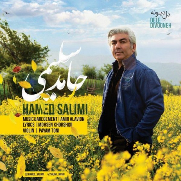Hamed Salimi - 'Dele Divooneh'