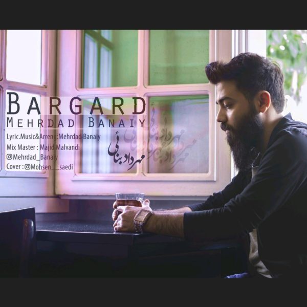 Mehrdad Banaiy - 'Bargard'