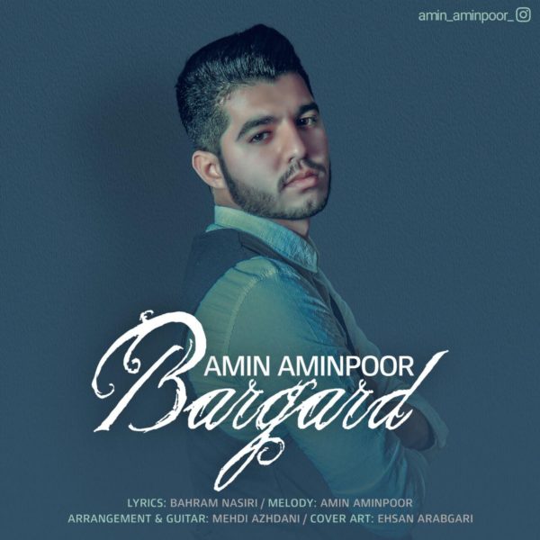 Amin Aminpoor - 'Bargard'