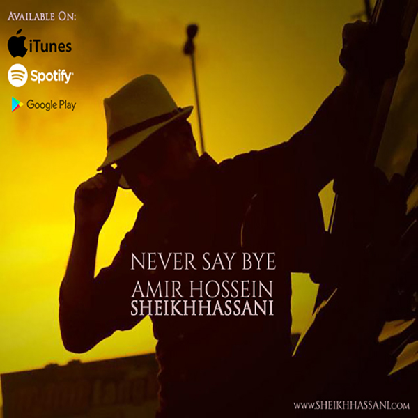 AmirHossein SheikhHassani - 'Never Say Bye'