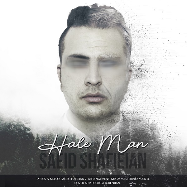 Saeid Shafieian - Hale Man