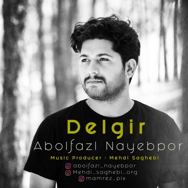 Abolfazl Nayebpor - Delgir